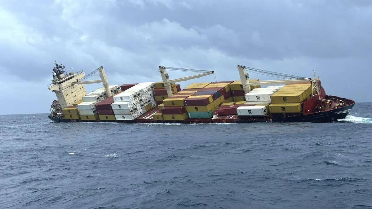 msc-elsa-