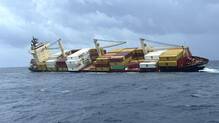 msc-elsa