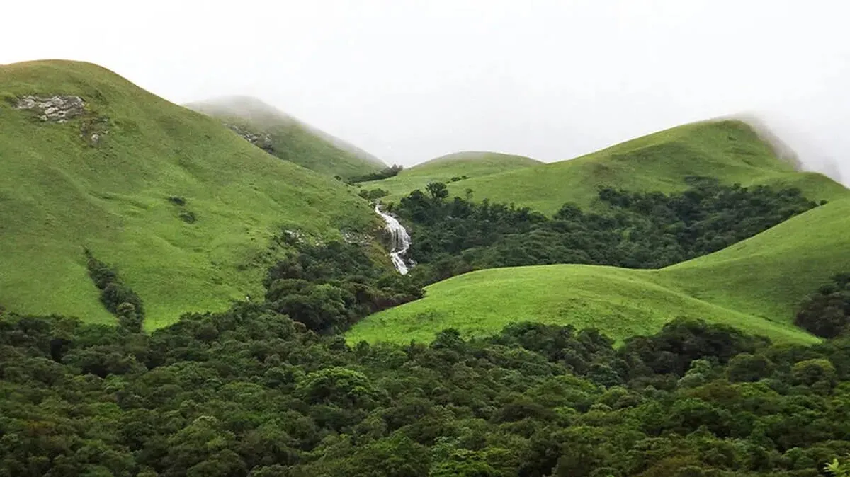 environment