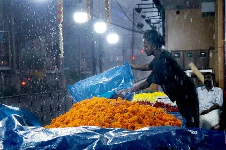 onam.1.3993526