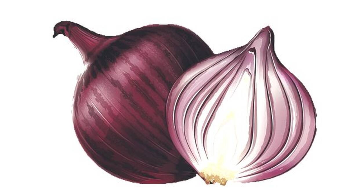onion
