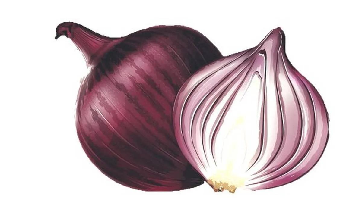 onion