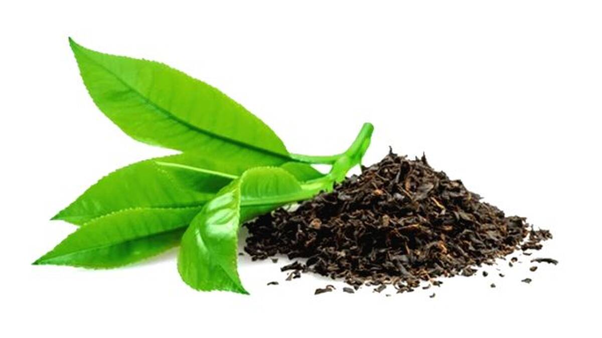 tea