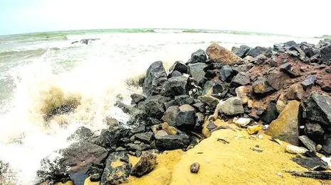 trikkannad.1786203267
