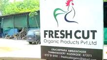 fresh-cut