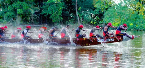 chundan-cheruthna.1.3976107