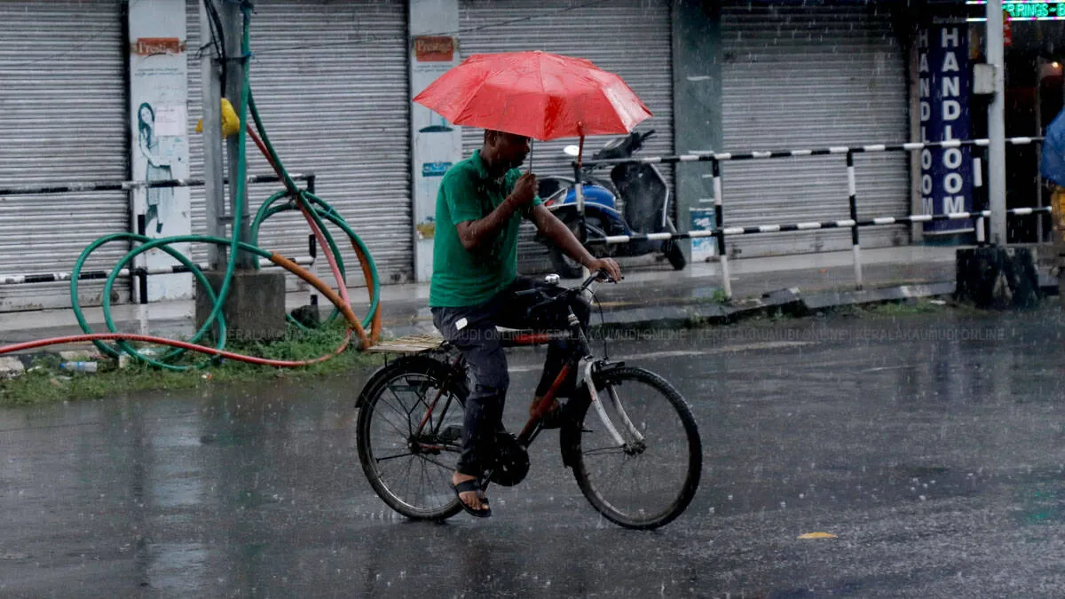 rain