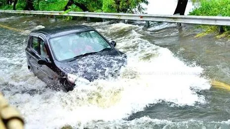 rain-alert.1786067989
