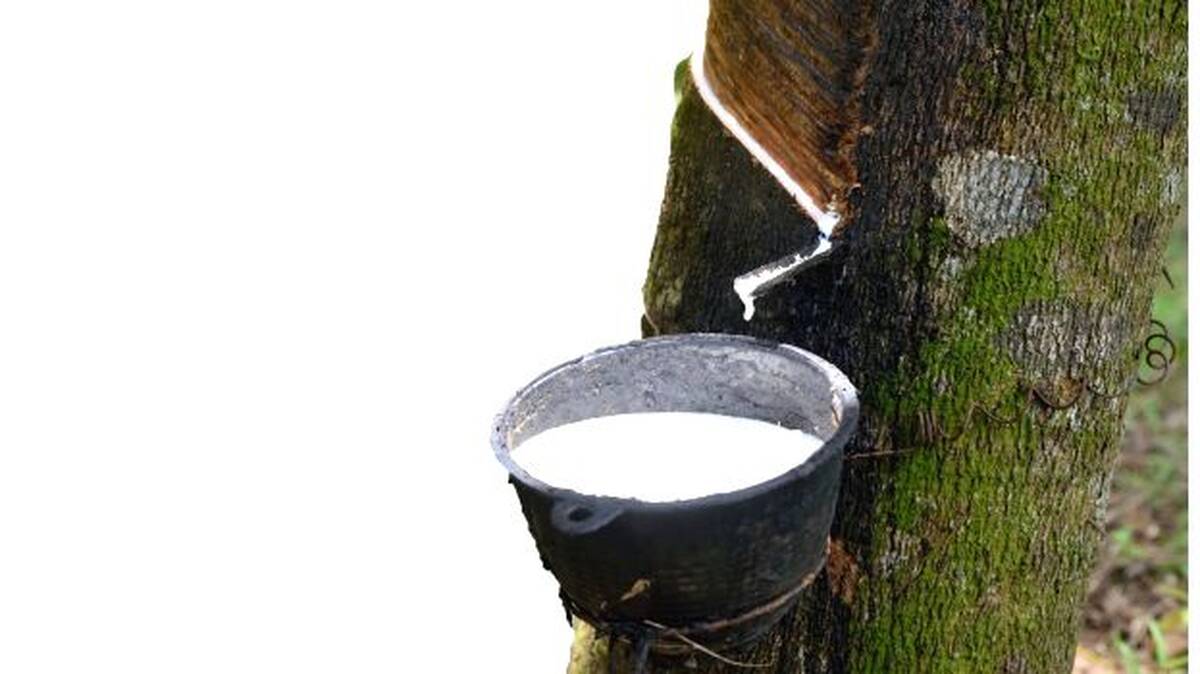 rubber