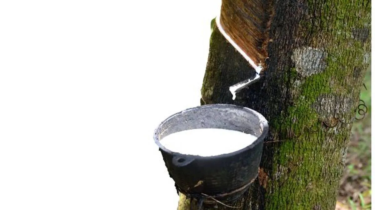 rubber