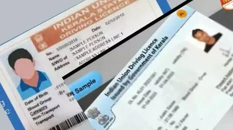 licence.1.3972548