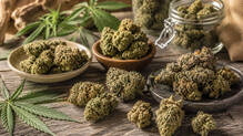 cannabis-candies-becoming-popular-among-kerala-students