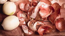 onion-peal-hair-dye