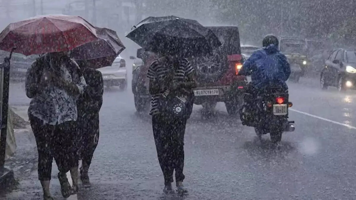 rain