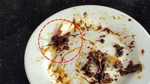 dead-cockroach-found-in-beef-curry-complaint-filed-against-kismat-hotel-in-pattambi
