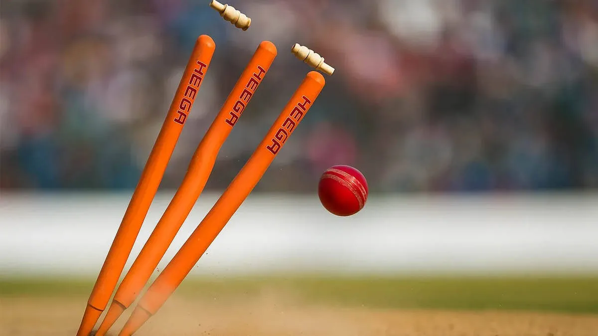 cricket