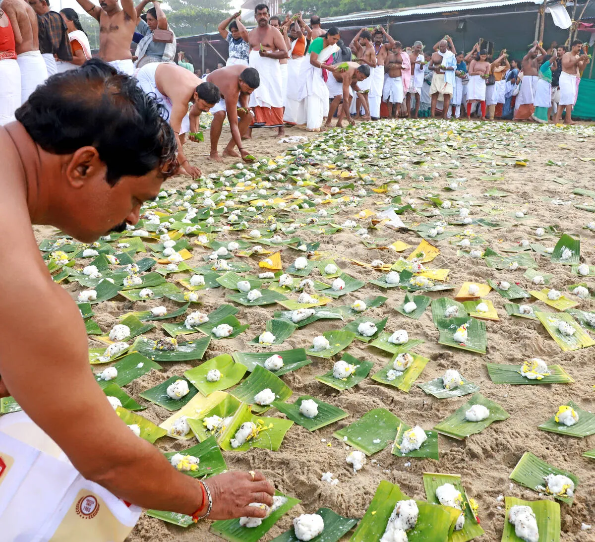 vavubali