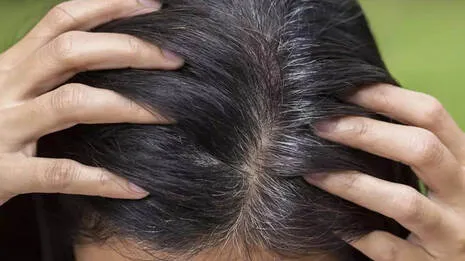 grey-hair-.1.3979730