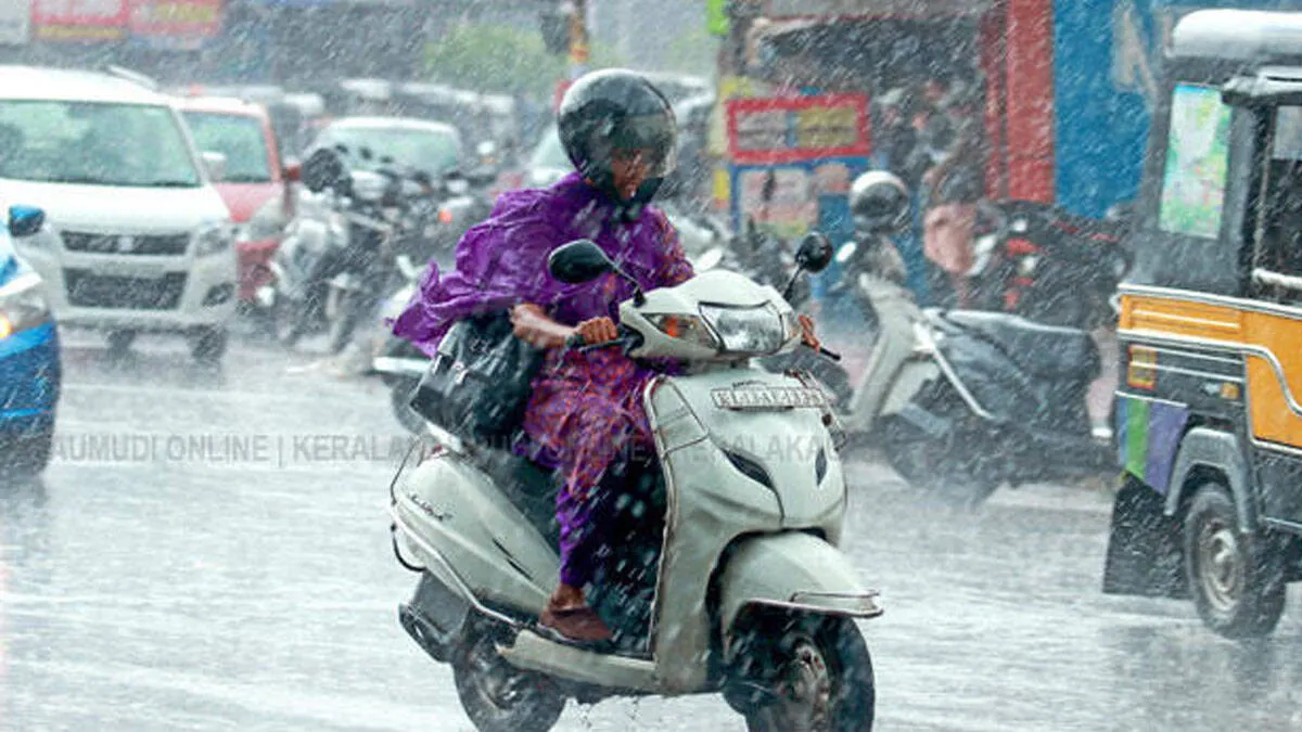 rain