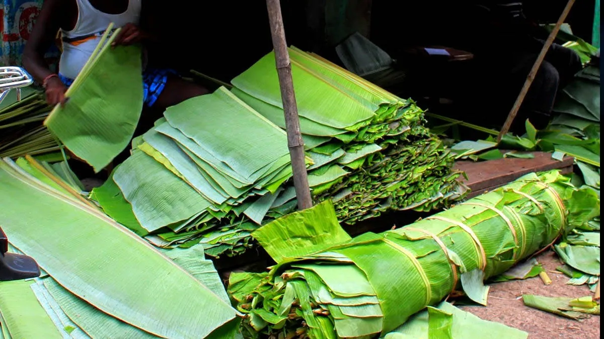 banana-leaf-