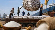 sugar-price-record-central-government