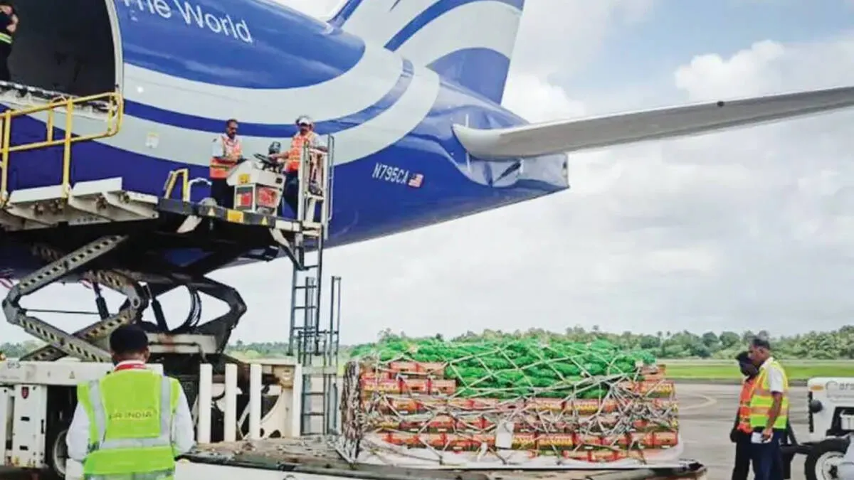 cargo-plane