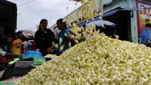 jasmine-and-pitchi-price-hike