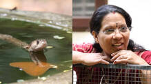 cobra-rescue-at-thiruvananthapuram-home