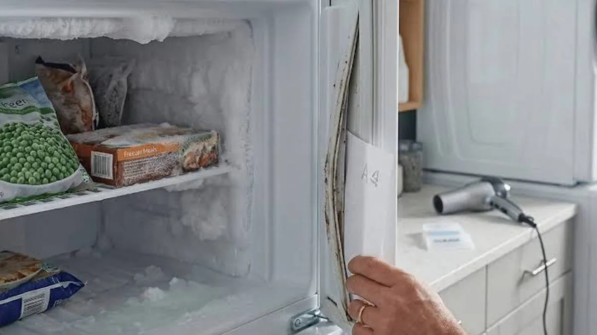 fridge