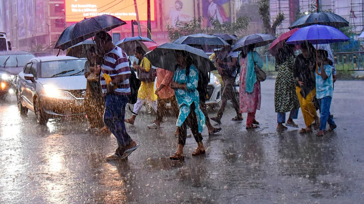 rain-alert