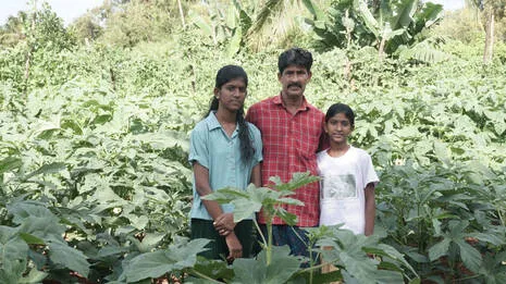 surendran-.1.3993761
