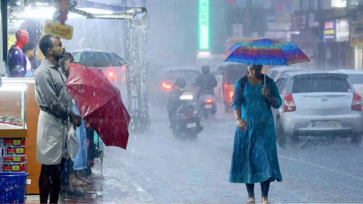 rain
