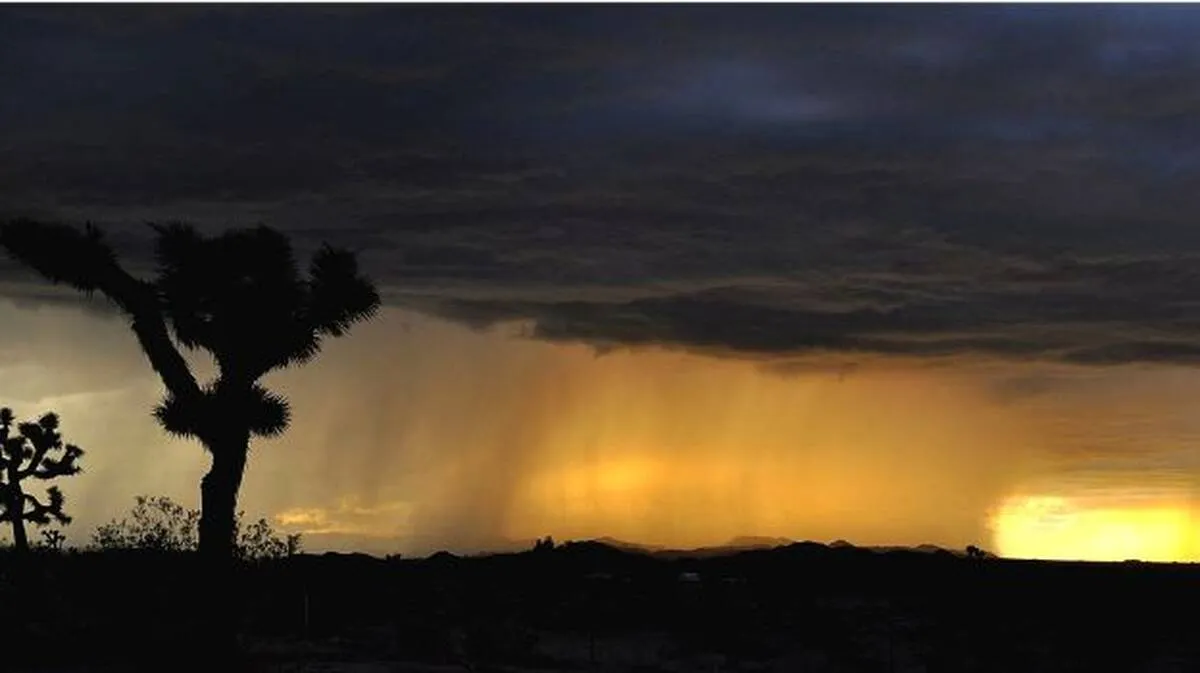 rain