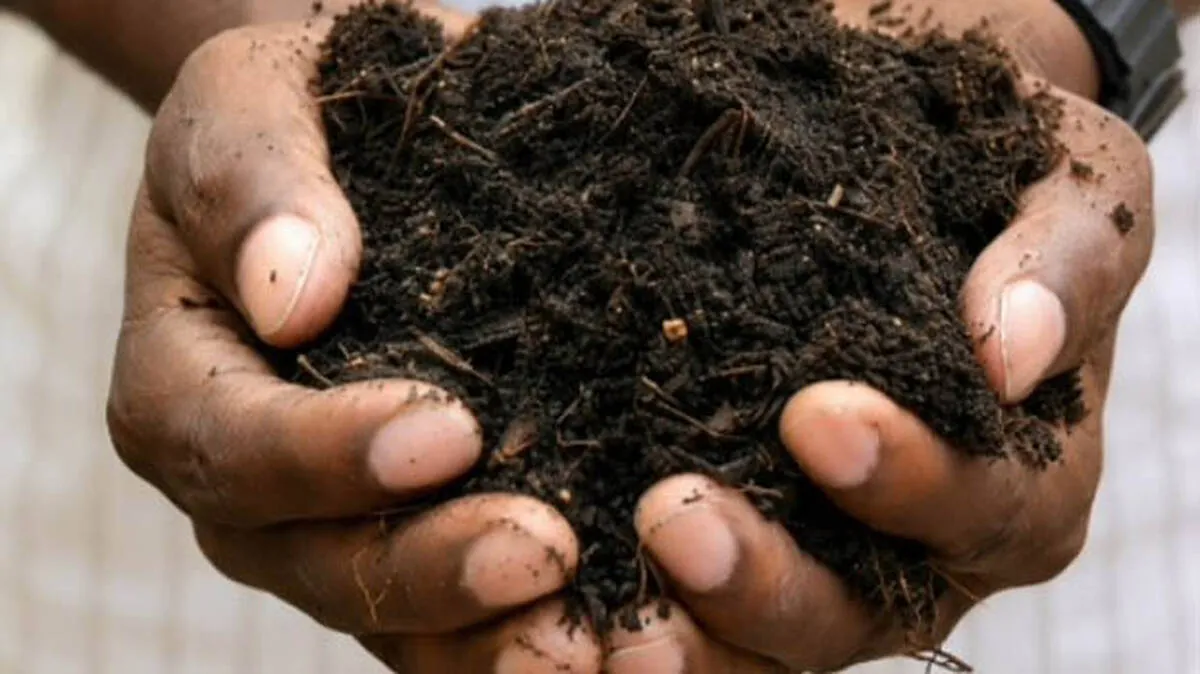 compost