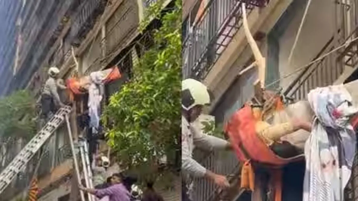 rescue