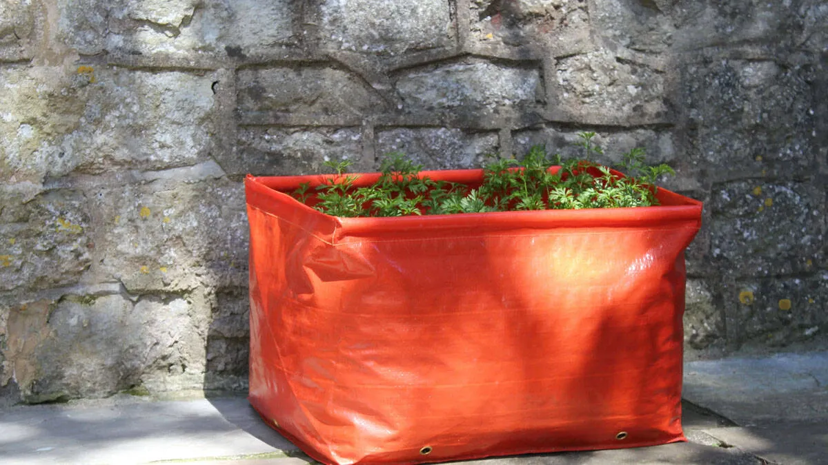 grow-bag
