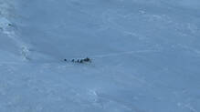 indian-army-rescue-ladakh-18600-feet