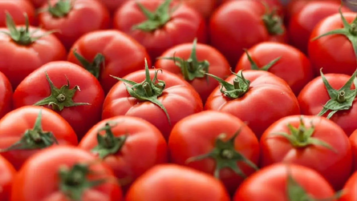 tomato