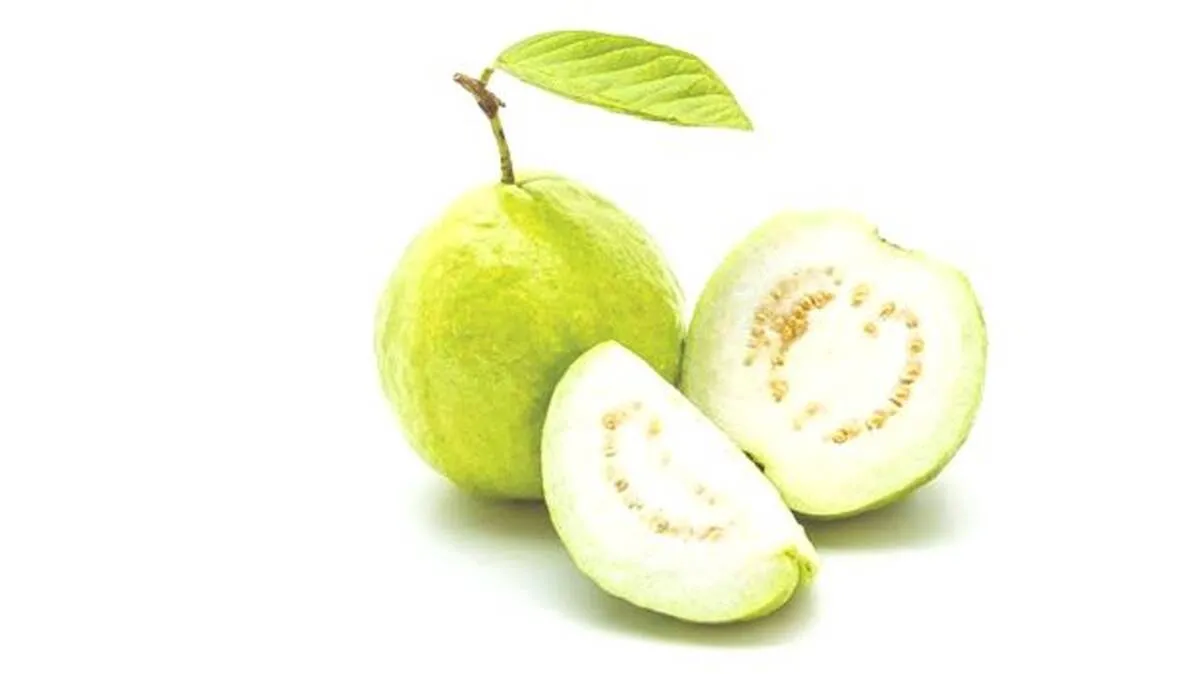 gauva