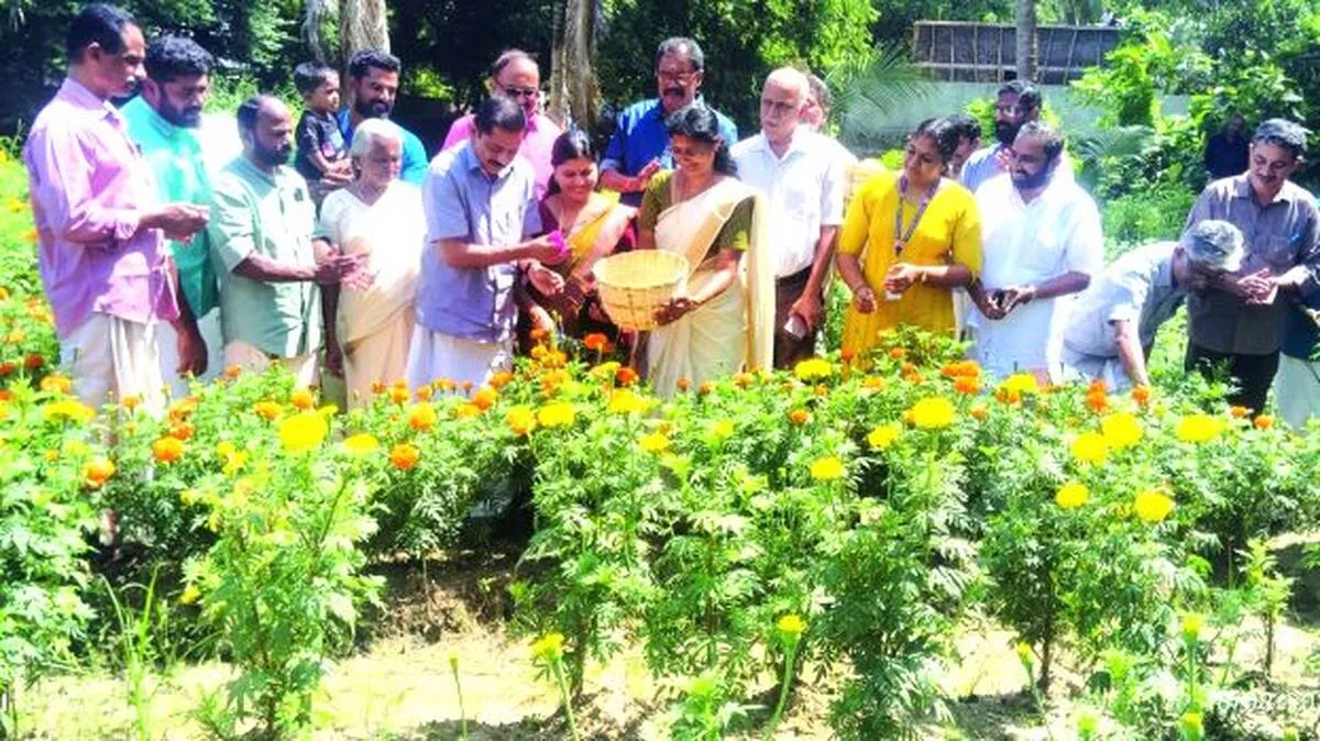 chendumalli chendumalli