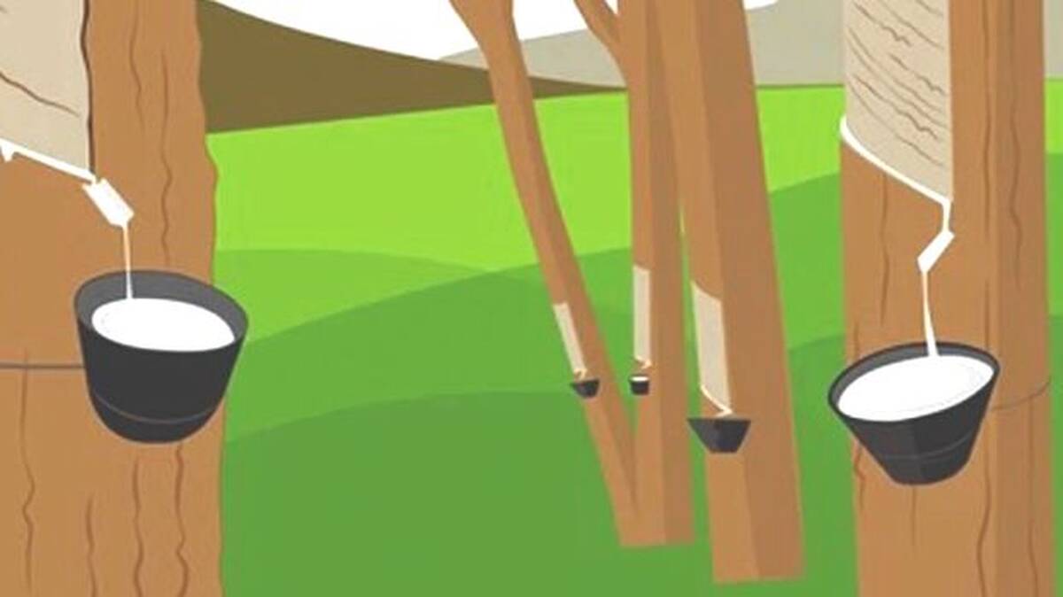 rubber
