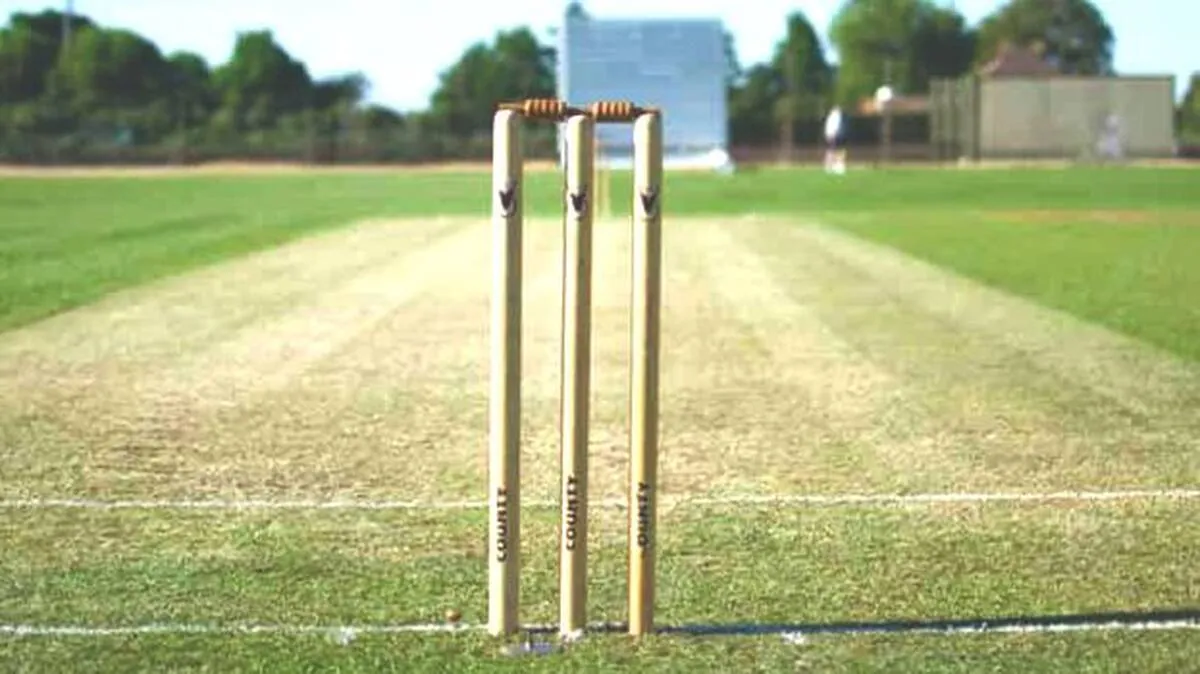 cricket