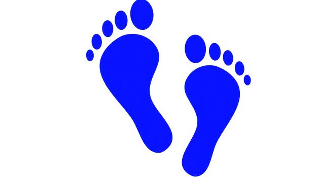 foot