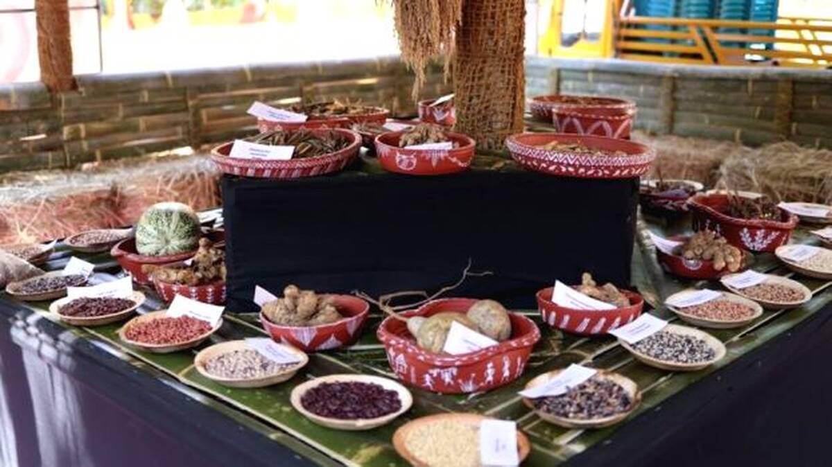 food-fest