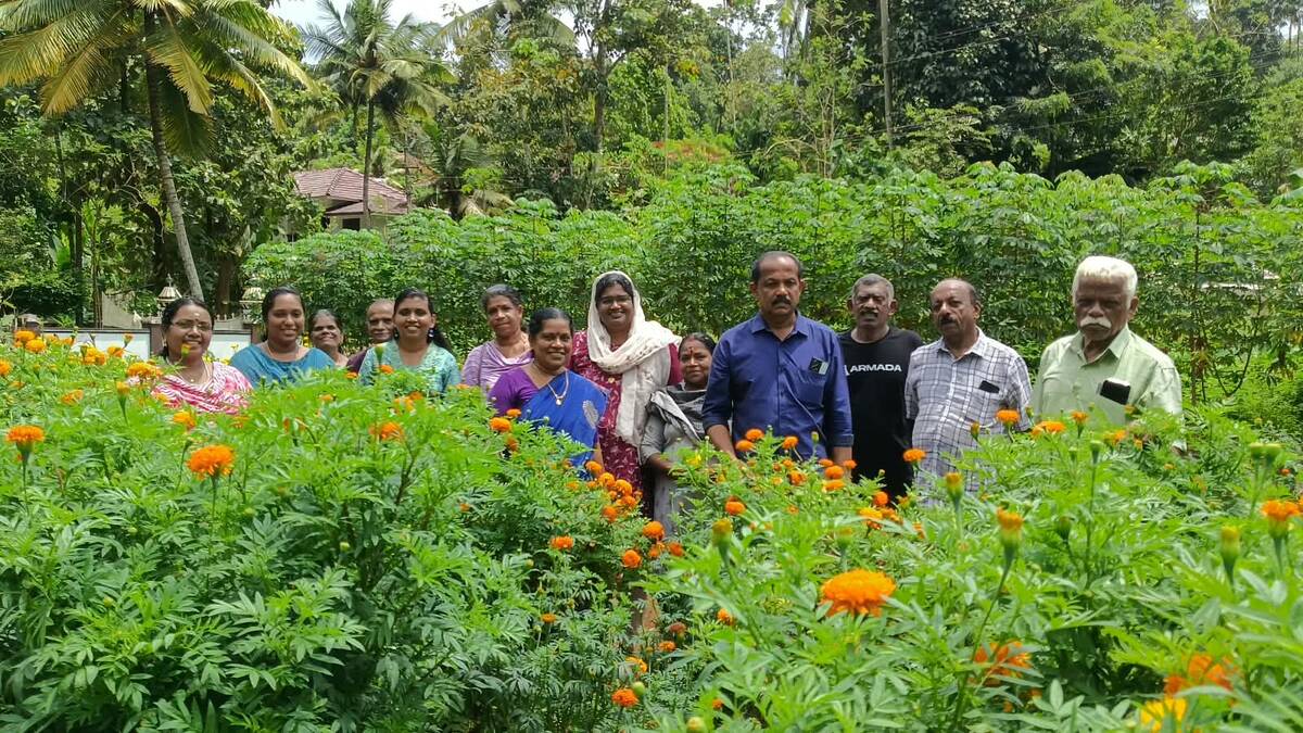 panchayath