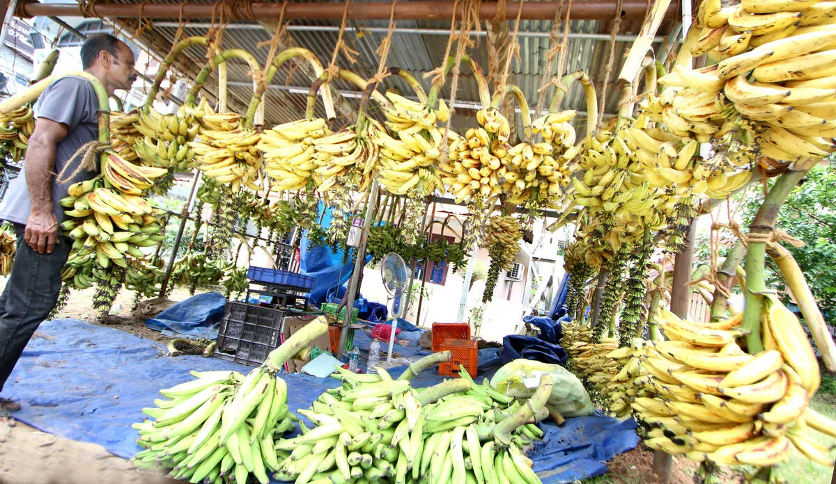 banana