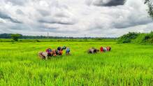 agri