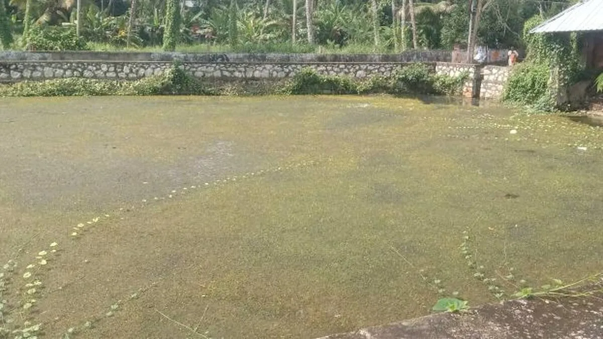 attakulam attakulam