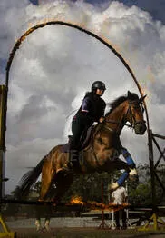 horse.1.3976491