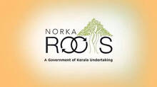 norka